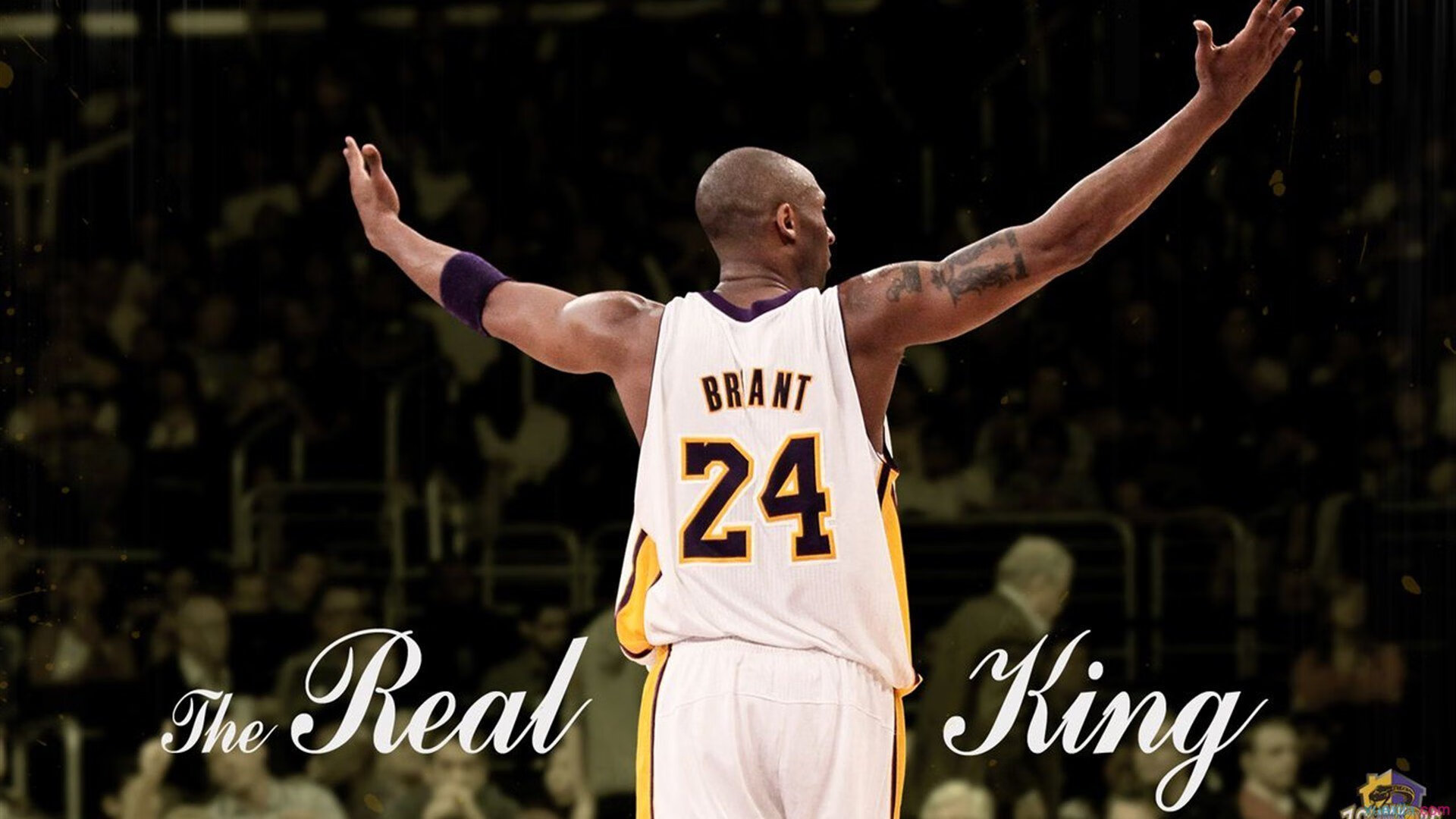 布克末节狂飙导演深圳速度,勇士防线被一波流击溃