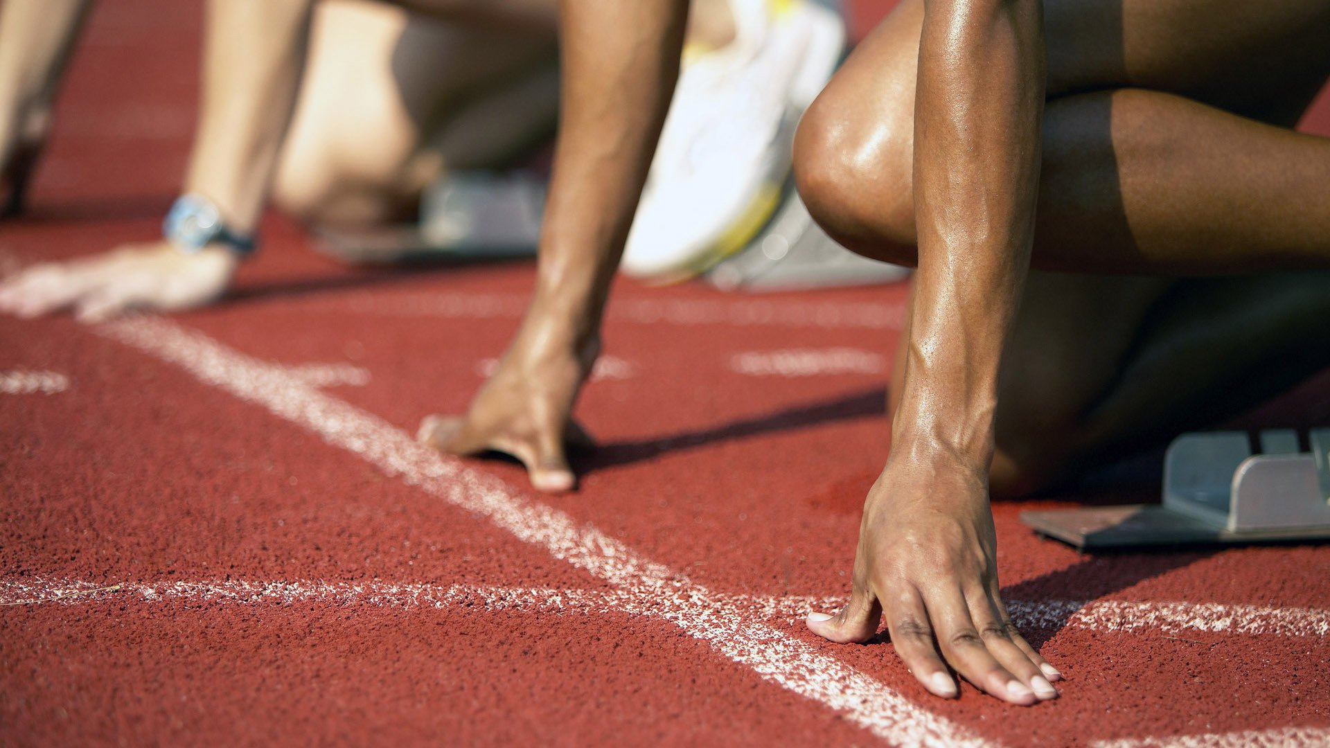 美加墨世界杯焦点战启示录,从灰熊式防守看广东队进攻体系的破局之思